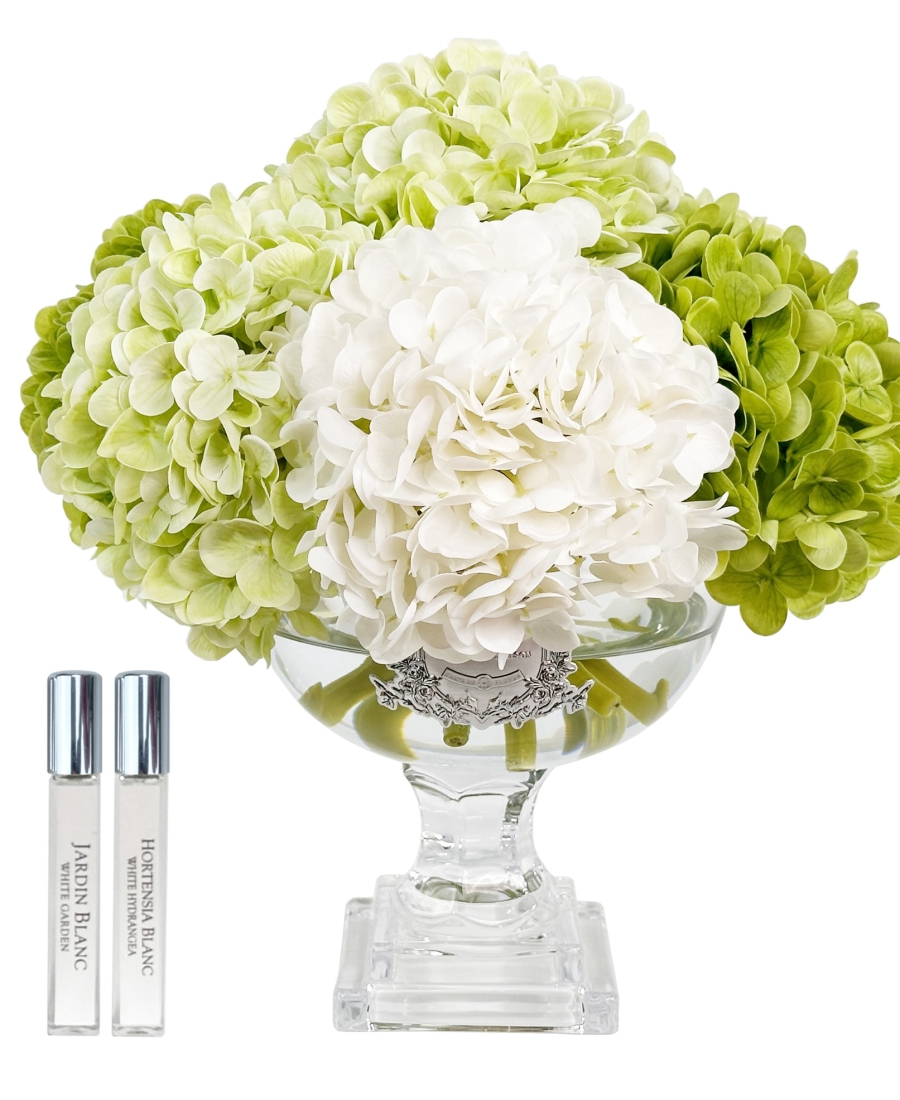 "Côte Noire" - Provence Hydrangeas Green